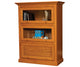 Barrister Bookcase5
