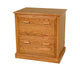 Traditional 2 Drawer Lateral File Cabinet